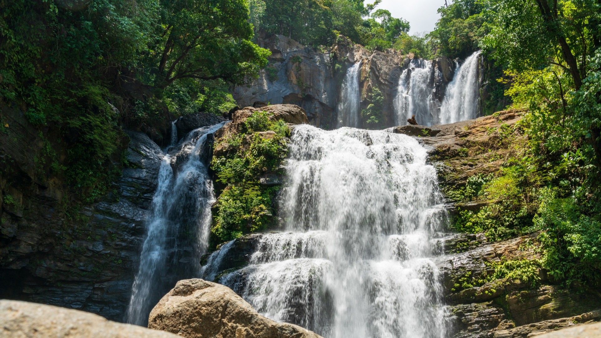 Tropisches Dschungel-Trekking Costa Rica